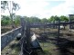 3 Duckinvilla Raod, Duckinwilla QLD 4650