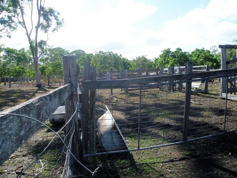 3 Duckinvilla Raod, Duckinwilla QLD 4650
