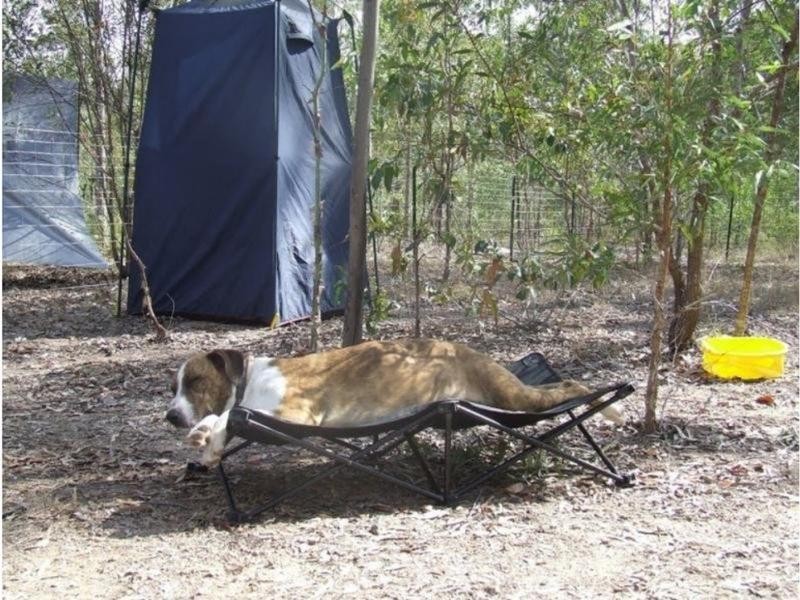 64/L64 Gigoomgan Road, Brooweena QLD 4620