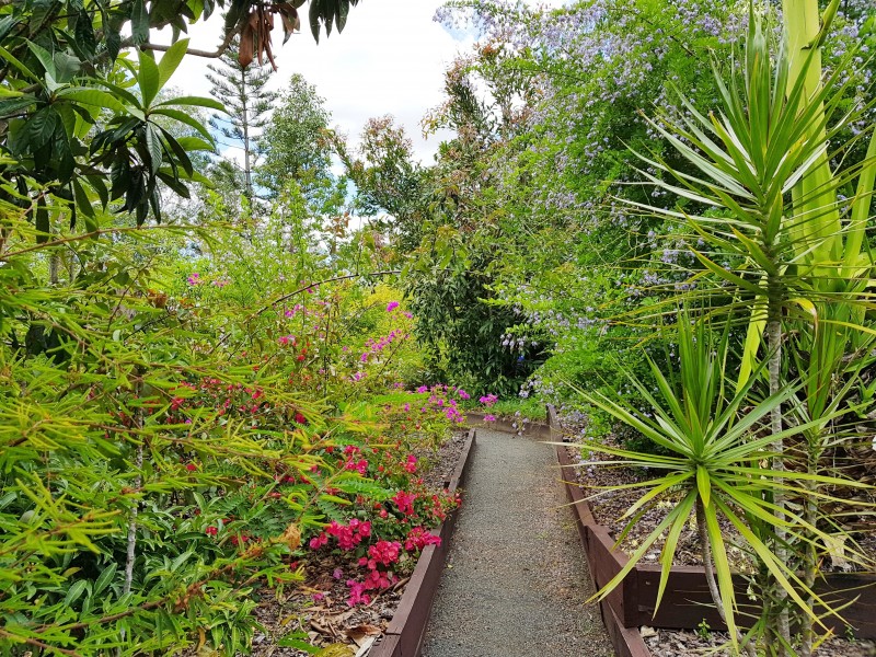 17 Lynton Court, Tinana QLD 4650