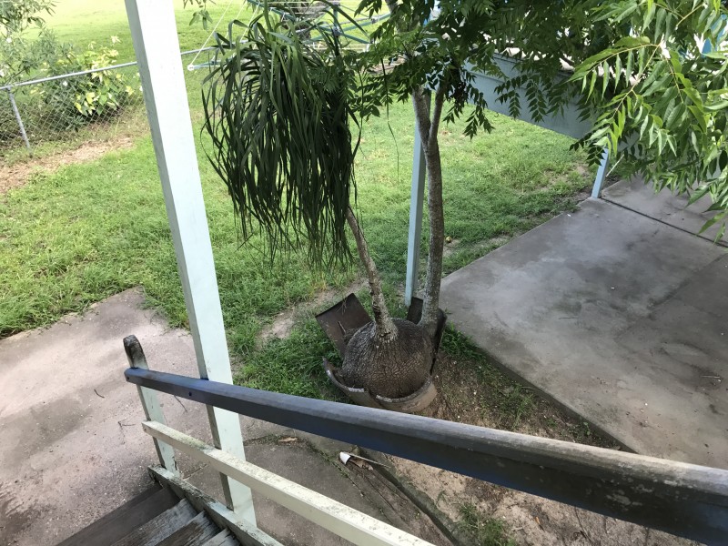 Maryborough QLD 4650