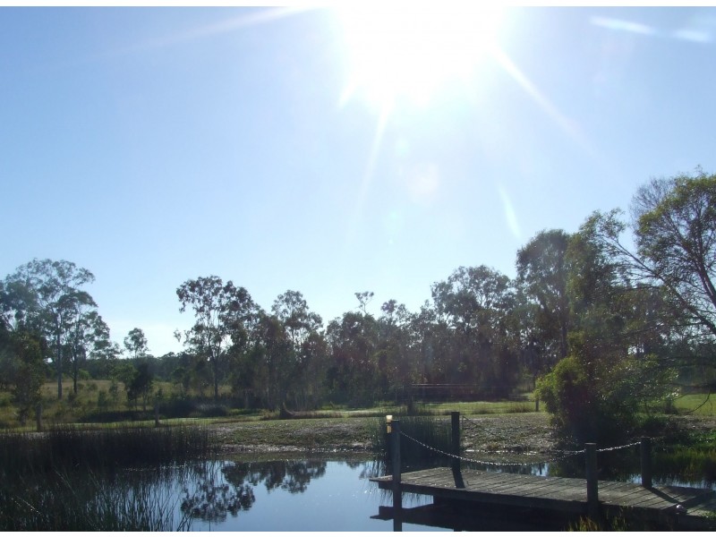 49 Alexander Drive, Oakhurst QLD 4650