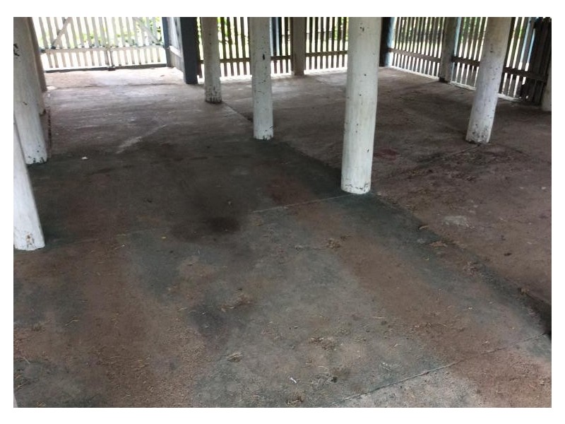 651 Kent Street, Maryborough QLD 4650