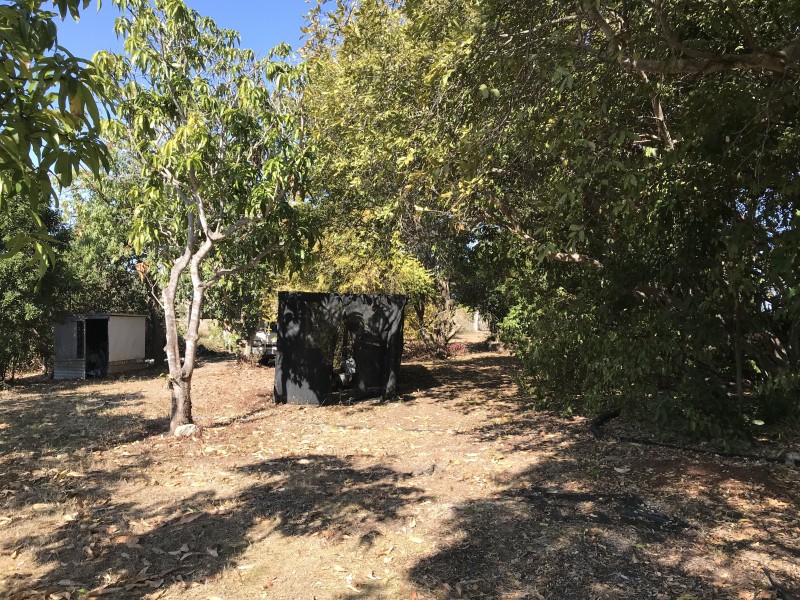 Grahams Creek QLD 4650