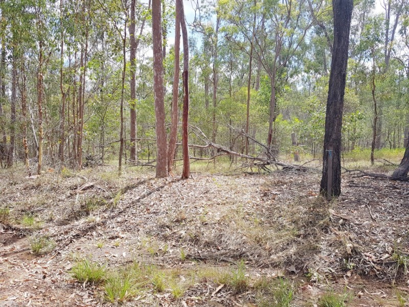 119 Gigoomgan Road, Brooweena QLD 4620