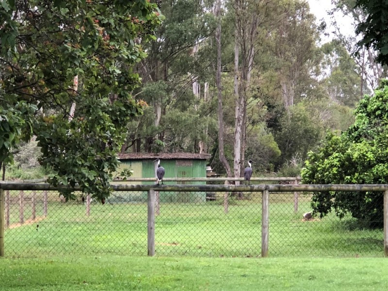 7 Serenity Drive, Tinana QLD 4650
