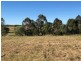 4 Carne Court, Bidwill QLD 4650