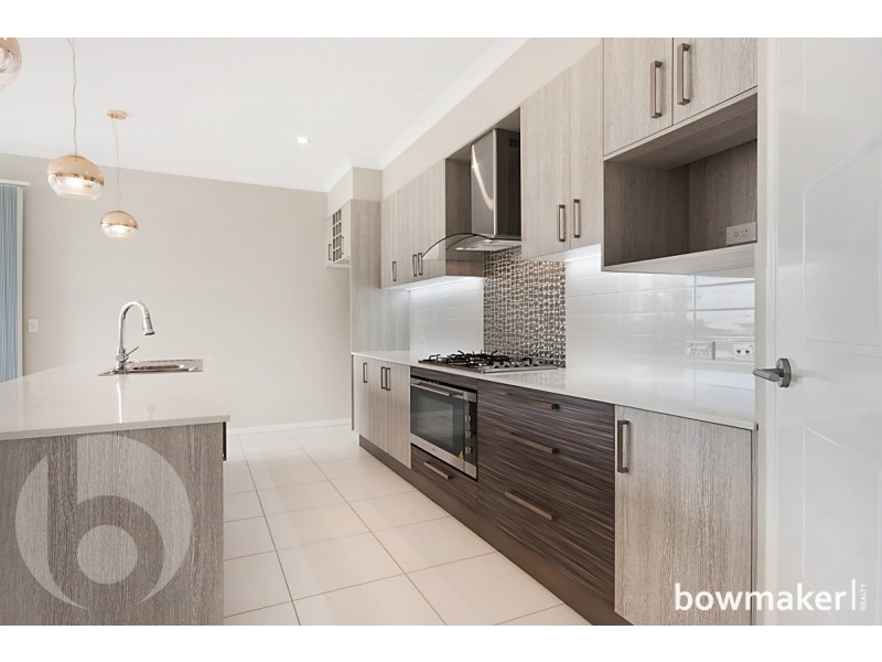 51 Tattler Street, Mango Hill QLD 4509