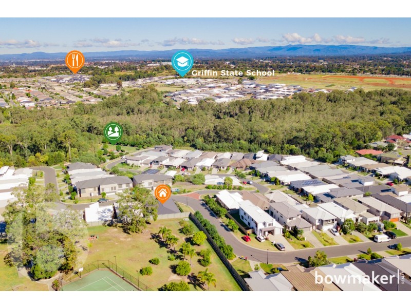 51 Tattler Street, Mango Hill QLD 4509