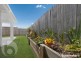 29 Tattler Street, Mango Hill QLD 4509