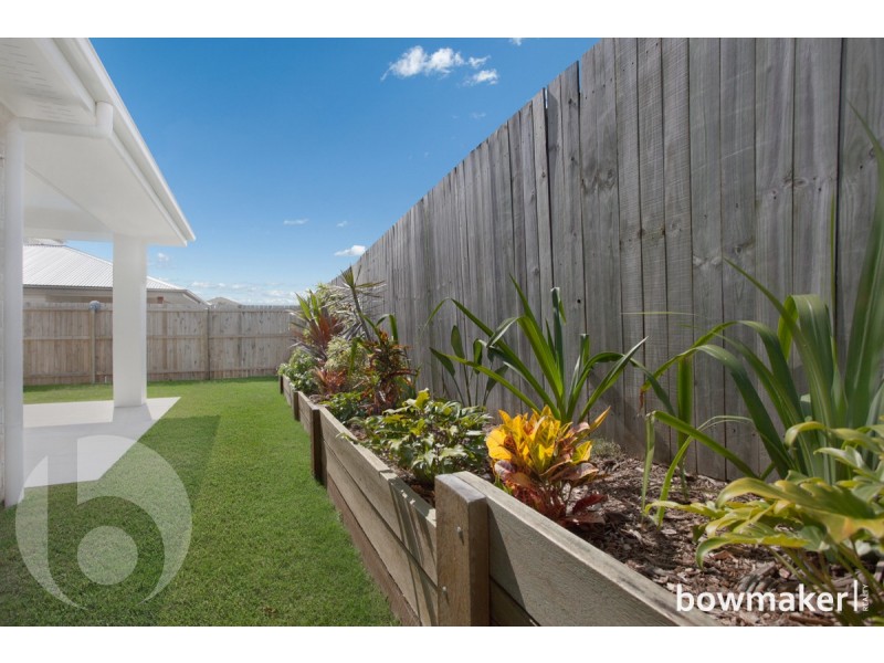 29 Tattler Street, Mango Hill QLD 4509