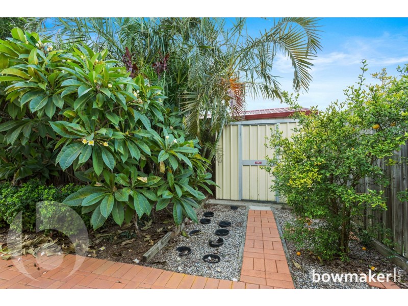 3 Wallaroo Circuit, North Lakes QLD 4509