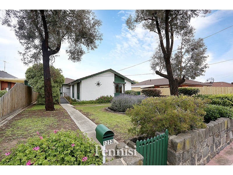 1253 Pascoe Vale Road, Broadmeadows VIC 3047