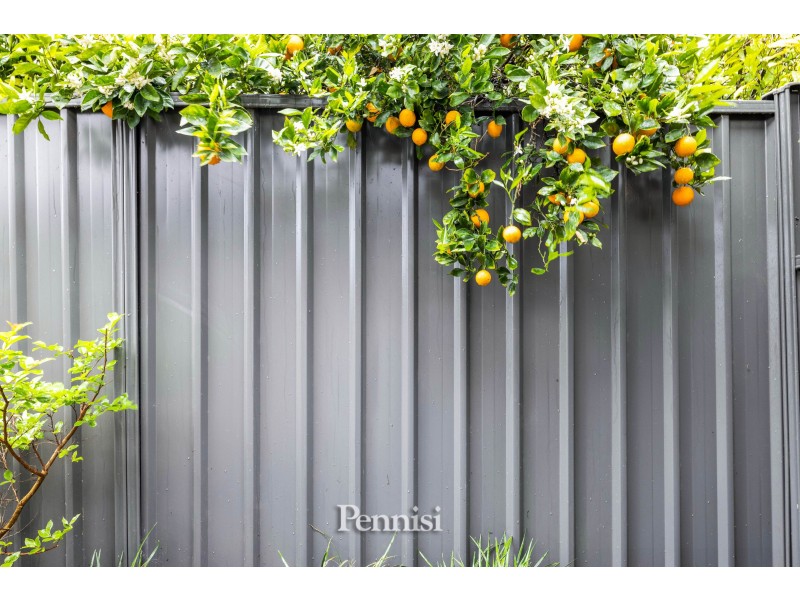 3/1 Danin Street, Pascoe Vale VIC 3044