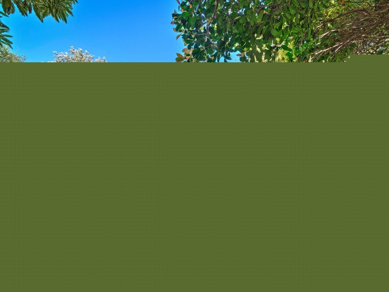 25 Collins Crescent, Berwick VIC 3806