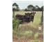 2110 Ballarto Road, Clyde VIC 3978