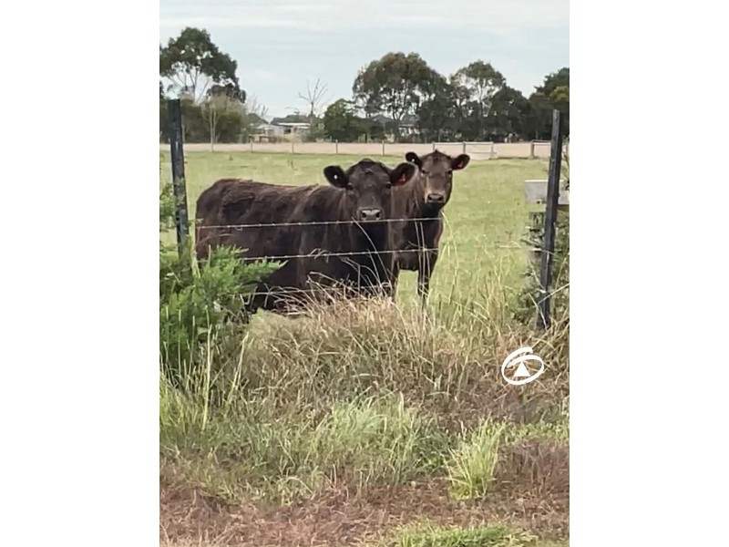 2110 Ballarto Road, Clyde VIC 3978
