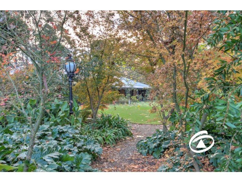 62 Buchanan Road, Berwick VIC 3806