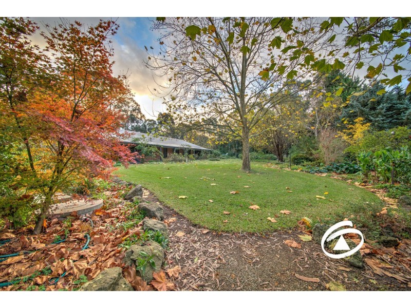 62 Buchanan Road, Berwick VIC 3806