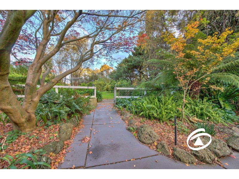 62 Buchanan Road, Berwick VIC 3806