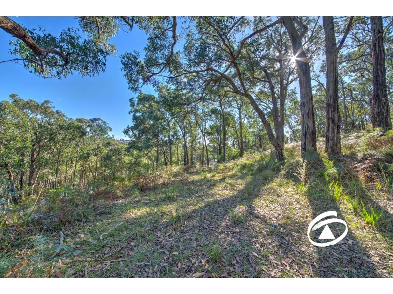 Lot 1 Borchardt Street, Guys Hill VIC 3807