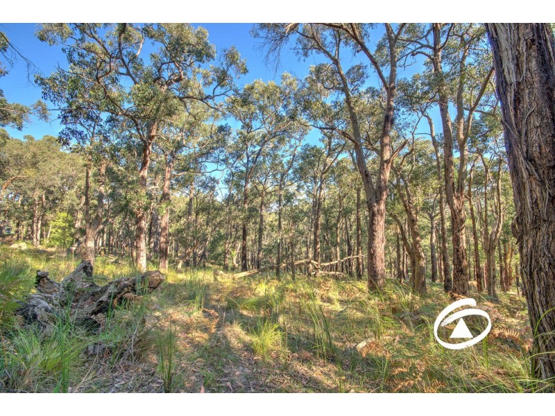 Lot 1 Borchardt Street, Guys Hill VIC 3807