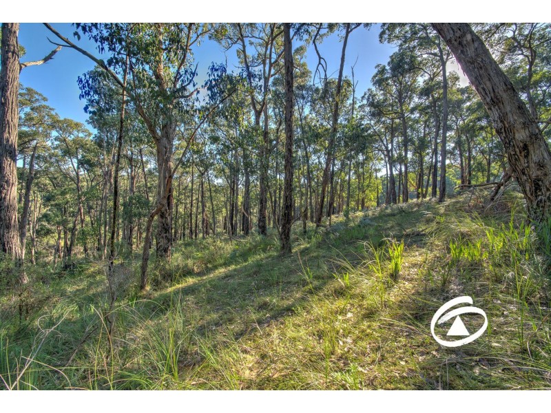 Lot 1 Borchardt Street, Guys Hill VIC 3807