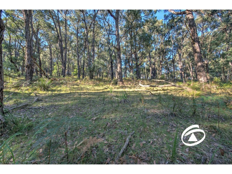 Lot 1 Borchardt Street, Guys Hill VIC 3807