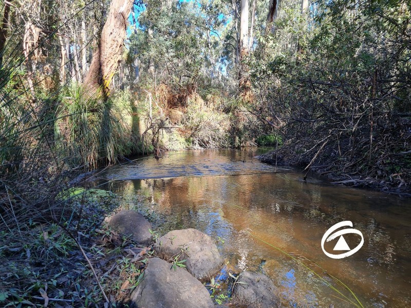 Lot 1 Borchardt Street, Guys Hill VIC 3807