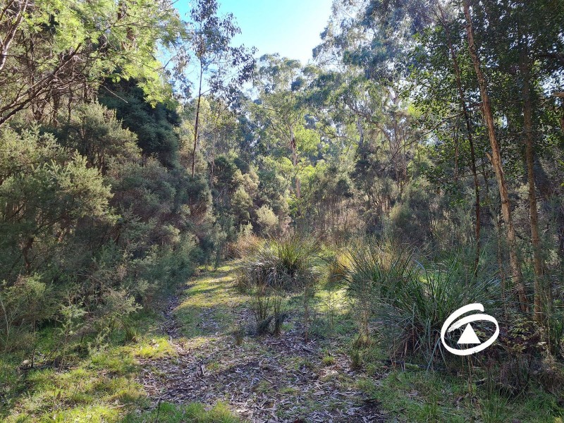 Lot 1 Borchardt Street, Guys Hill VIC 3807