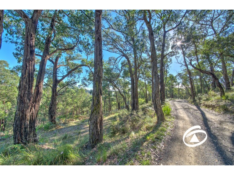 Lot 1 Borchardt Street, Guys Hill VIC 3807