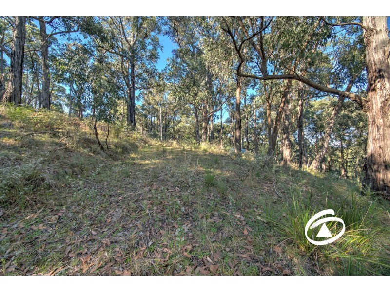 Lot 1 Borchardt Street, Guys Hill VIC 3807