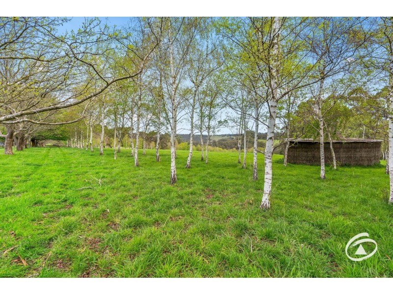 650 Bourkes Creek Road, Dewhurst VIC 3808