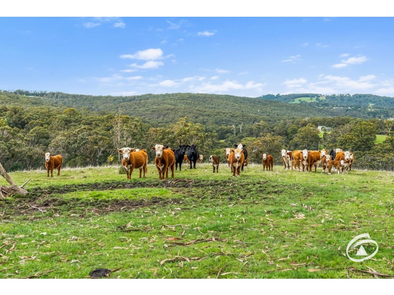 650 Bourkes Creek Road, Dewhurst VIC 3808