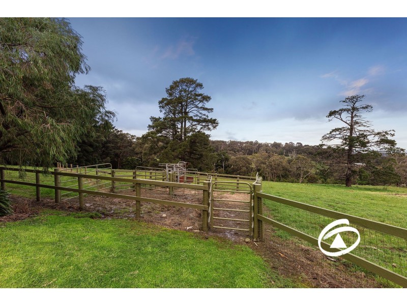 20 Bellbird Avenue, Harkaway VIC 3806