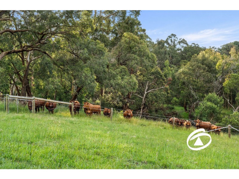 153-157 Beaumont Road, Berwick VIC 3806