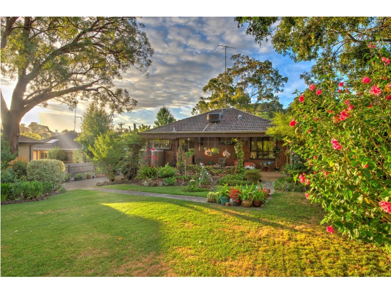 16 York Road, Berwick VIC 3806