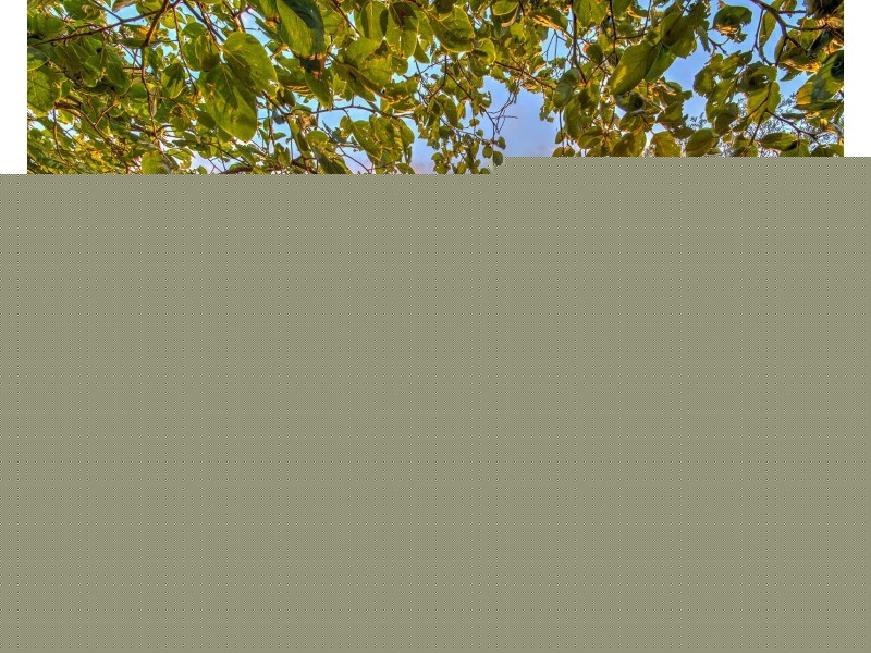 19 Lenne Street, Beaconsfield Upper VIC 3808