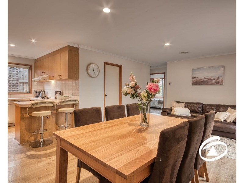 102 Amber Crescent, Narre Warren VIC 3805