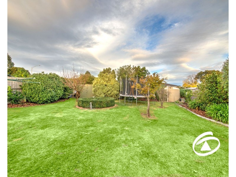 102 Amber Crescent, Narre Warren VIC 3805