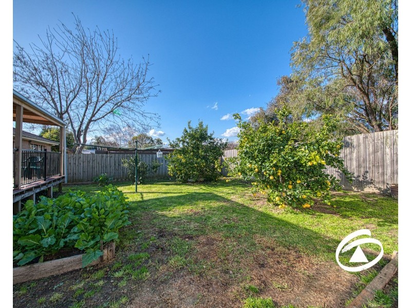 16 Briar Close, Narre Warren VIC 3805