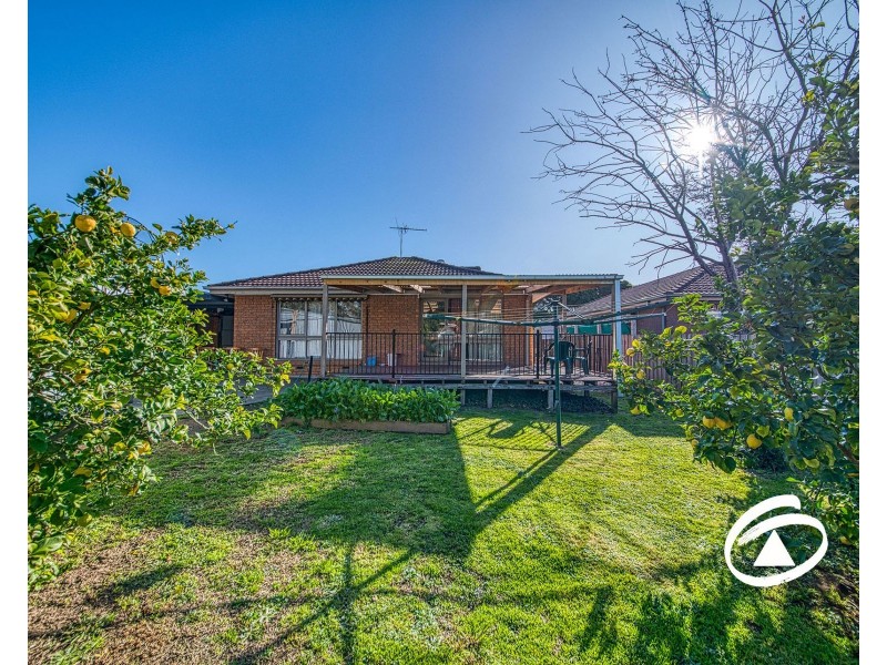 16 Briar Close, Narre Warren VIC 3805