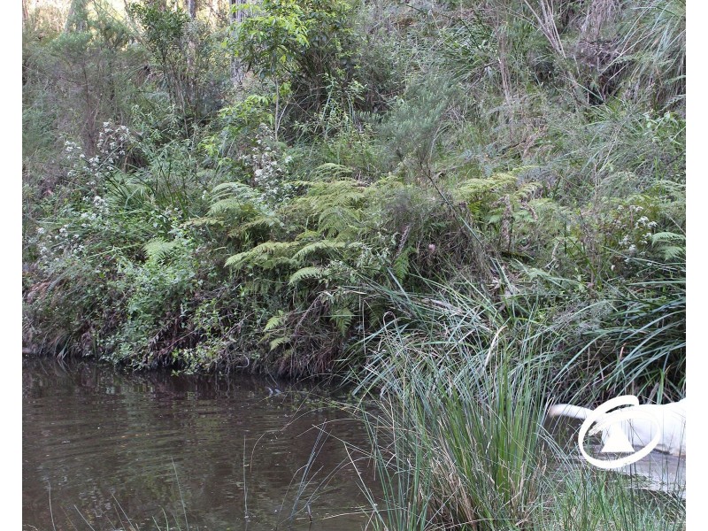 24 Temple Road, Belgrave South VIC 3160