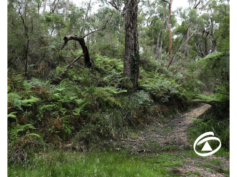 24 Temple Road, Belgrave South VIC 3160