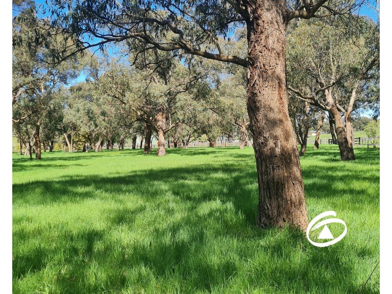 172 Boundary Road, Narre Warren East VIC 3804