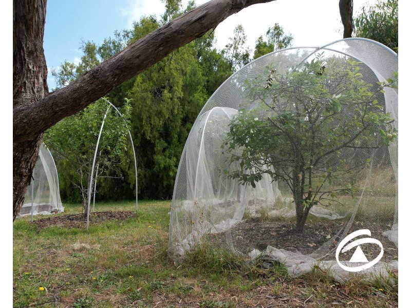 8 Nagle Crescent, Maryknoll VIC 3812