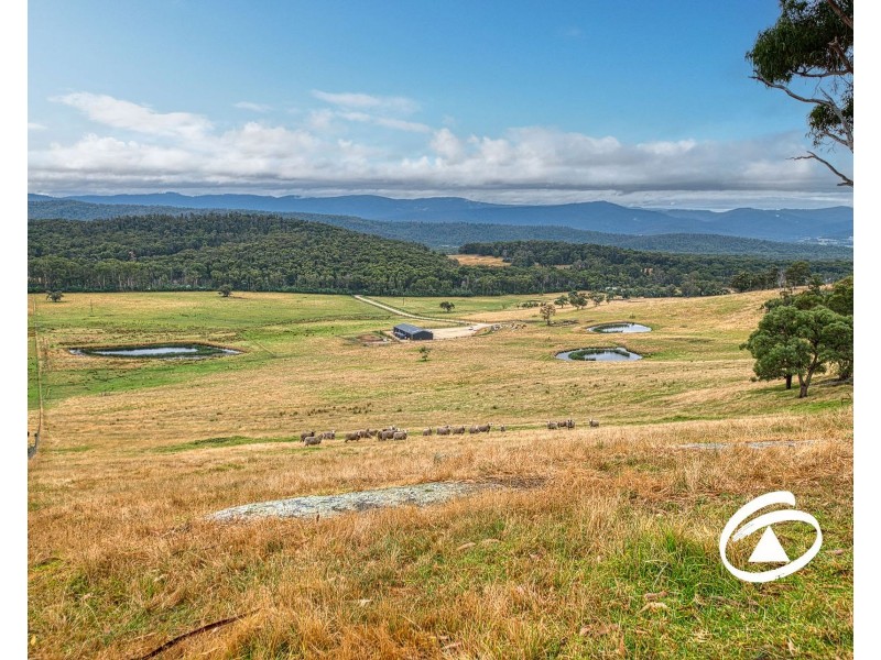 145 Bridal Road, Tonimbuk VIC 3815