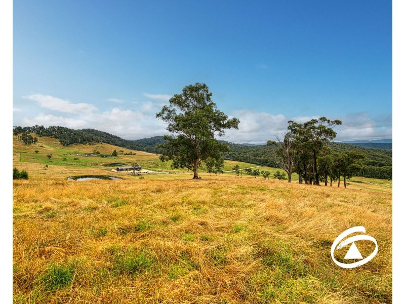 145 Bridal Road, Tonimbuk VIC 3815