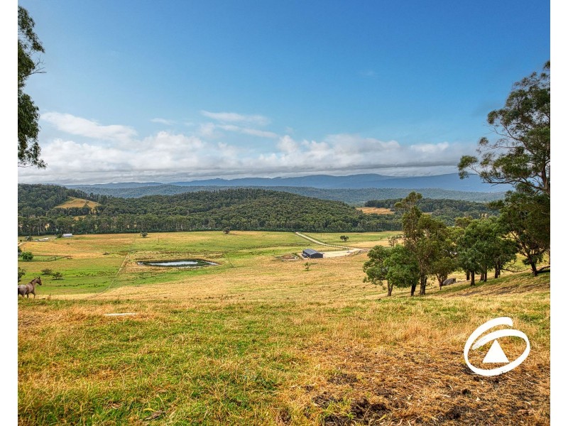 145 Bridal Road, Tonimbuk VIC 3815