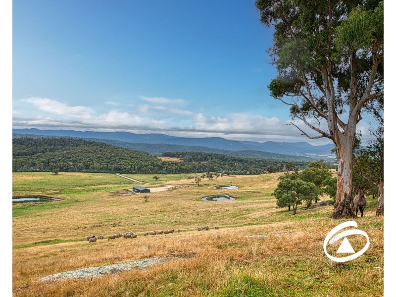 145 Bridal Road, Tonimbuk VIC 3815